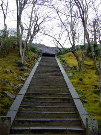 steep steps lead to world of serenity